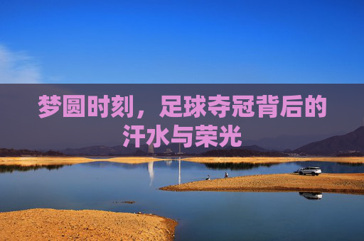 梦圆时刻,足球夺冠背后的汗水与荣光