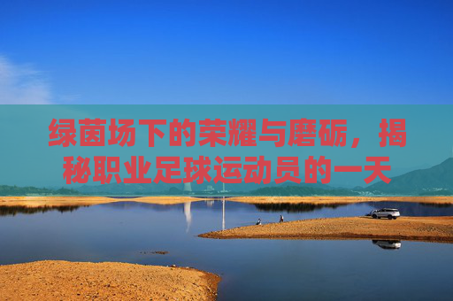 绿茵场下的荣耀与磨砺,揭秘职业足球运动员的一天