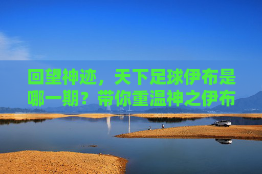 回望神迹,天下足球伊布是哪一期?带你重温神之伊布的巅峰时刻