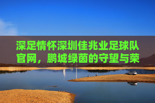 深足情怀深圳佳兆业足球队官网，鹏城绿茵的守望与荣光