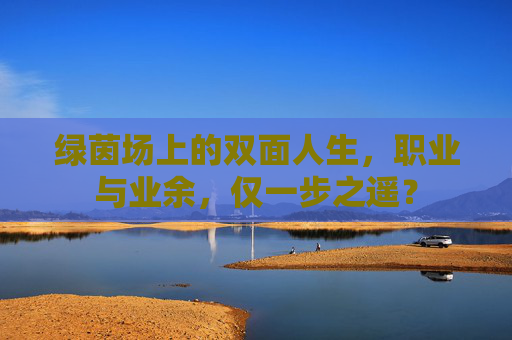 绿茵场上的双面人生,职业与业余,仅一步之遥?