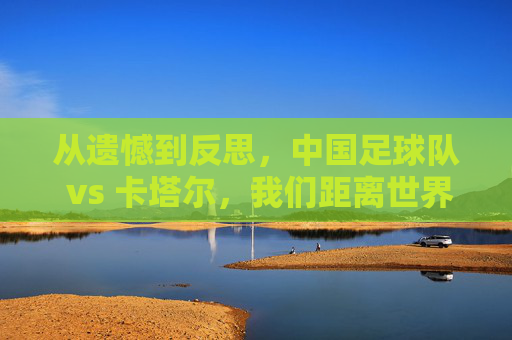 从遗憾到反思,中国足球队 vs 卡塔尔,我们距离世界级究竟有多远?
