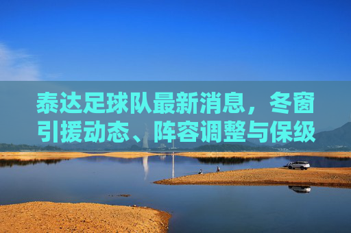 泰达足球队最新消息,冬窗引援动态、阵容调整与保级之路展望
