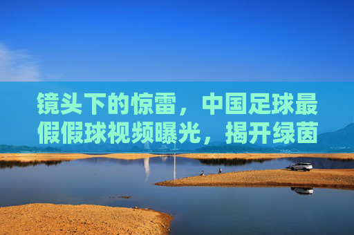镜头下的惊雷,中国足球最假假球视频曝光,揭开绿茵场上的遮羞布