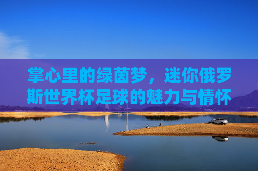 掌心里的绿茵梦,迷你俄罗斯世界杯足球的魅力与情怀