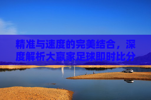 精准与速度的完美结合,深度解析大嬴家足球即时比分网