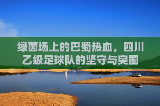 绿茵场上的巴蜀热血,四川乙级足球队的坚守与突围