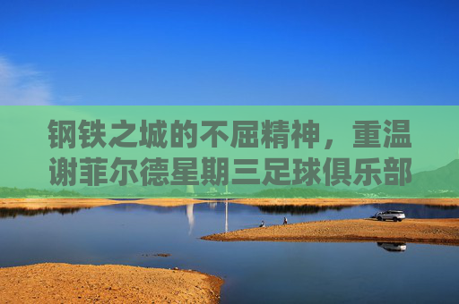 钢铁之城的不屈精神,重温谢菲尔德星期三足球俱乐部的辉煌与坚守