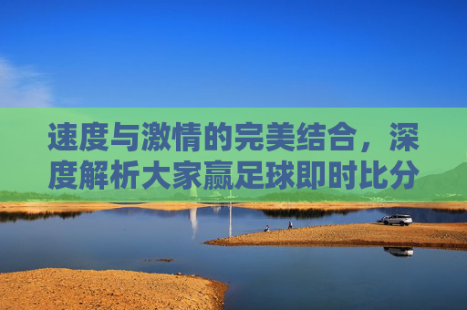 速度与激情的完美结合,深度解析大家赢足球即时比分