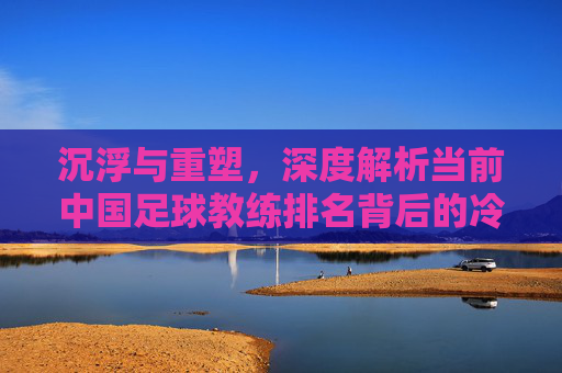 沉浮与重塑,深度解析当前中国足球教练排名背后的冷暖