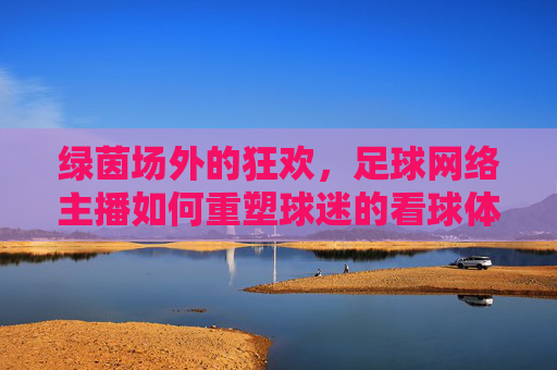 绿茵场外的狂欢,足球网络主播如何重塑球迷的看球体验