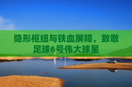 隐形枢纽与铁血屏障，致敬足球6号伟大球星