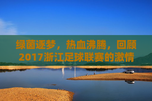 绿茵逐梦，热血沸腾，回顾2017浙江足球联赛的激情岁月