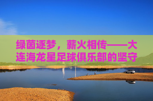 绿茵逐梦,薪火相传——大连海龙星足球俱乐部的坚守与荣光