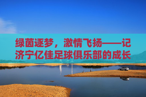绿茵逐梦，激情飞扬——记济宁亿佳足球俱乐部的成长与情怀