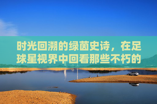 时光回溯的绿茵史诗,在足球星视界中回看那些不朽的瞬间