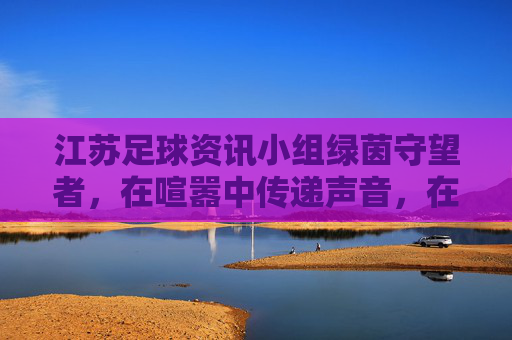 江苏足球资讯小组绿茵守望者,在喧嚣中传递声音,在热爱中重塑信仰