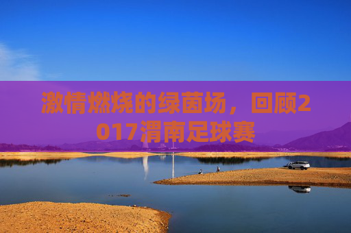 激情燃烧的绿茵场,回顾2017渭南足球赛