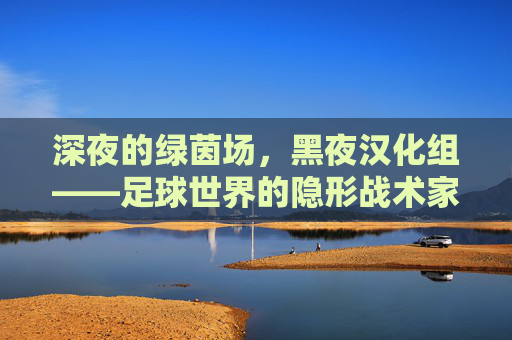 深夜的绿茵场,黑夜汉化组——足球世界的隐形战术家
