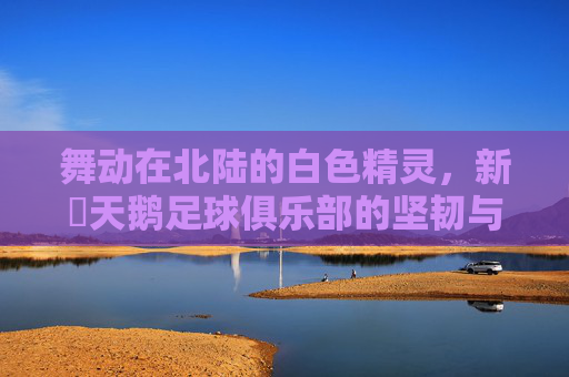 舞动在北陆的白色精灵,新潟天鹅足球俱乐部的坚韧与梦想