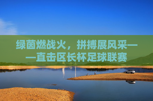 绿茵燃战火,拼搏展风采——直击区长杯足球联赛