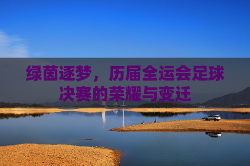 绿茵逐梦,历届全运会足球决赛的荣耀与变迁