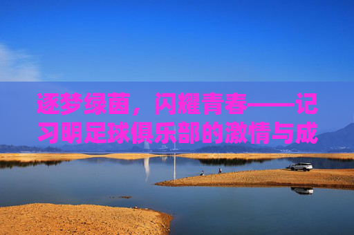 逐梦绿茵，闪耀青春——记习明足球俱乐部的激情与成长