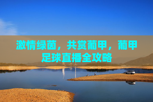 激情绿茵,共赏葡甲,葡甲足球直播全攻略