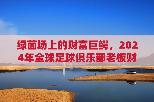 绿茵场上的财富巨鳄,2024年全球足球俱乐部老板财富与影响力排名