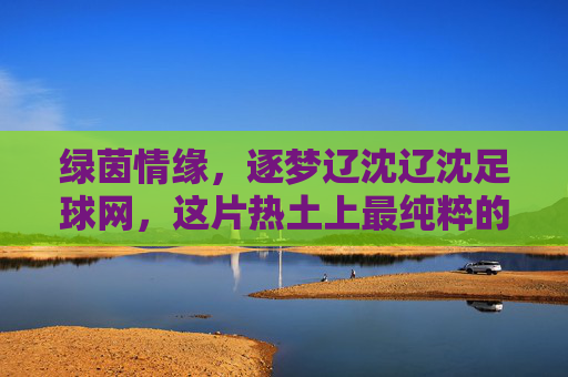 绿茵情缘,逐梦辽沈辽沈足球网,这片热土上最纯粹的足球声音