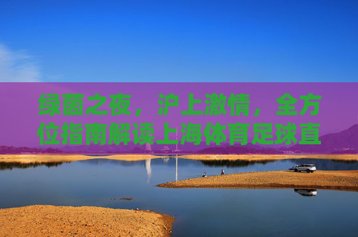 绿茵之夜,沪上激情,全方位指南解读上海体育足球直播