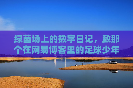 绿茵场上的数字日记,致那个在网易博客里的足球少年