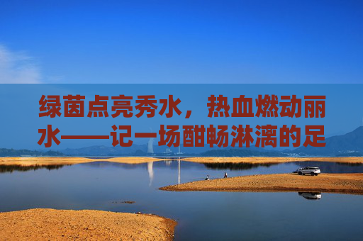 绿茵点亮秀水,热血燃动丽水——记一场酣畅淋漓的足球比赛