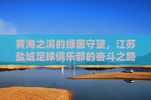 黄海之滨的绿茵守望,江苏盐城足球俱乐部的奋斗之路
