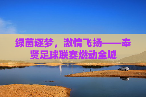 绿茵逐梦，激情飞扬——奉贤足球联赛燃动全城