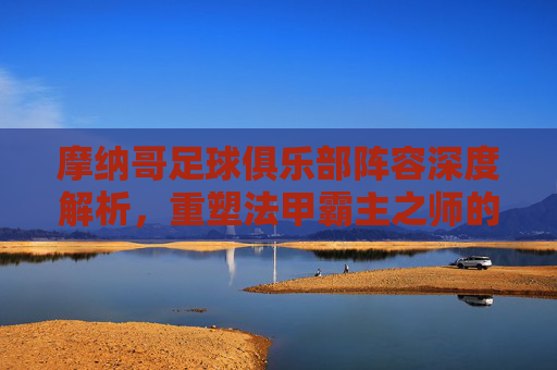 摩纳哥足球俱乐部阵容深度解析,重塑法甲霸主之师的青春风暴
