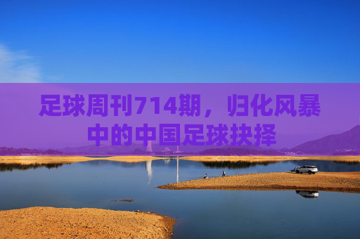 足球周刊714期,归化风暴中的中国足球抉择