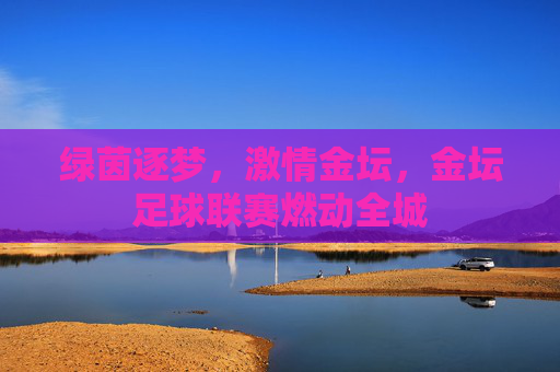 绿茵逐梦,激情金坛,金坛足球联赛燃动全城