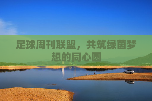 足球周刊联盟,共筑绿茵梦想的同心圆