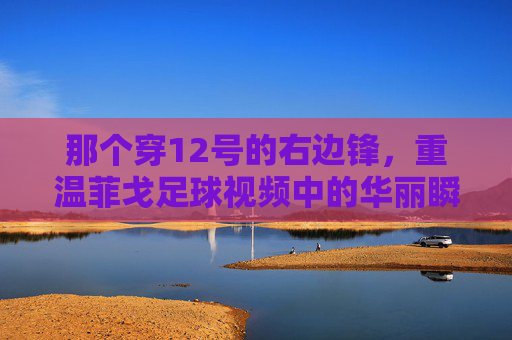 那个穿12号的右边锋，重温菲戈足球视频中的华丽瞬间