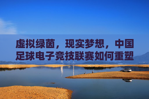 虚拟绿茵，现实梦想，中国足球电子竞技联赛如何重塑中国足球新生态