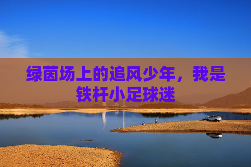 绿茵场上的追风少年,我是铁杆小足球迷
