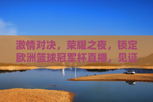 激情对决,荣耀之夜,锁定欧洲篮球冠军杯直播,见证巅峰王者