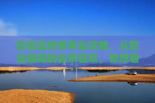 安徽篮球赛事全攻略，从职业巅峰到业余狂欢，你想看的都在这里