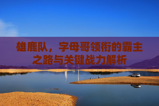 雄鹿队,字母哥领衔的霸主之路与关键战力解析