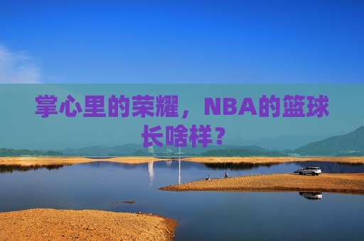 掌心里的荣耀，NBA的篮球长啥样？