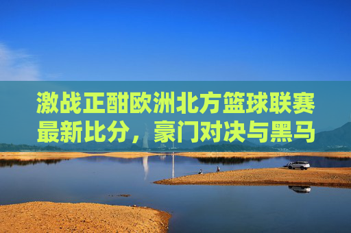 激战正酣欧洲北方篮球联赛最新比分,豪门对决与黑马崛起