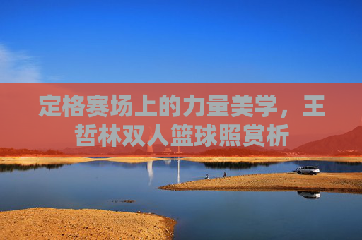 定格赛场上的力量美学,王哲林双人篮球照赏析