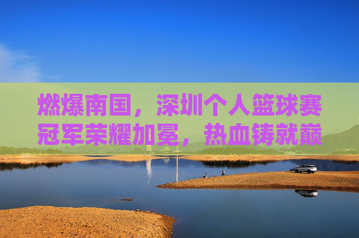 燃爆南国,深圳个人篮球赛冠军荣耀加冕,热血铸就巅峰时刻