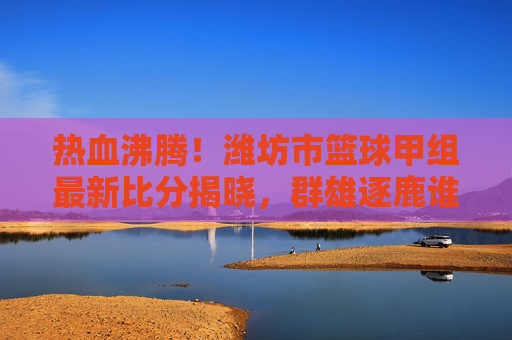 热血沸腾!潍坊市篮球甲组最新比分揭晓,群雄逐鹿谁主沉浮
